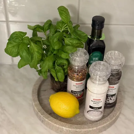 Arctic Jaakko Rovaniemi