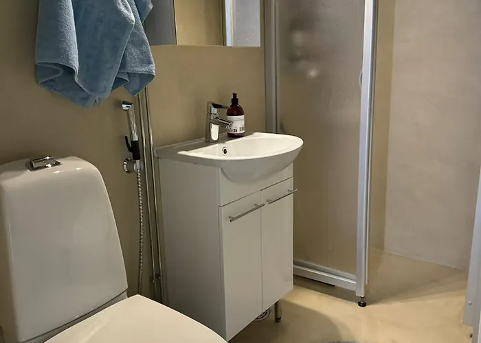 Arctic Jaakko Rovaniemi