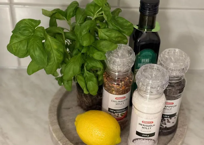 Arctic Jaakko Rovaniemi